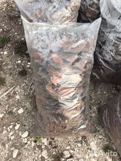 Мульча сосновая кора