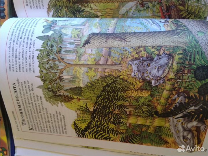 Детские книги большого формата