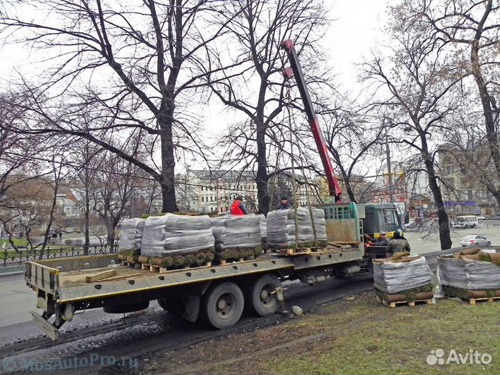 Доставка рулонного газона