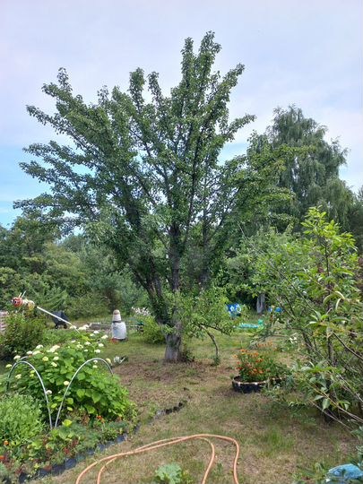 Дача 30 м² на участке 6 сот.