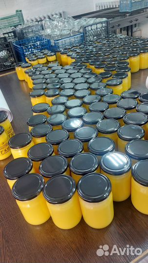 Масло сливочное топленое гхи оптом домашнее