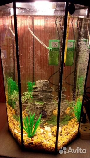 Аквариум
