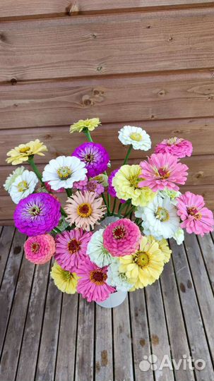 Букет на первое сентября