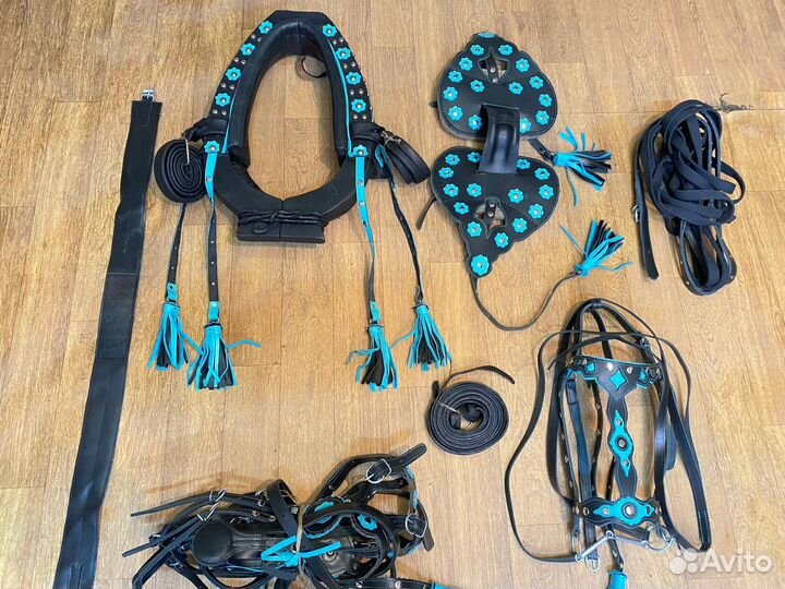 Сбруя для лошади (цветная)