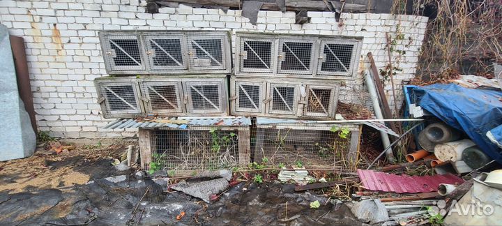 Клетка для животных (кроликов) бу