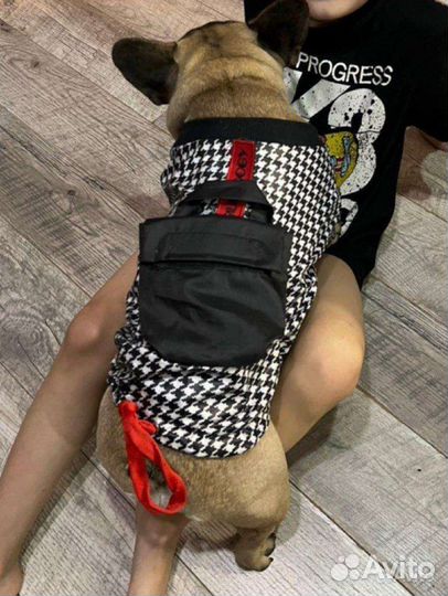 Одежда для собак мелких пород