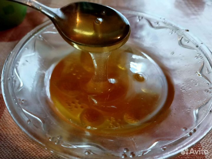 Мёд, мёд в сотах, перга