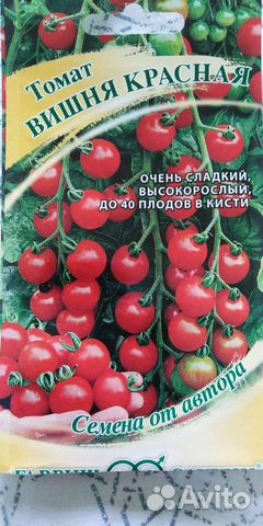 Продам рассаду томатов, перца, огурца, боклажана