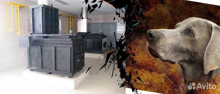 Эвтаназия Усыпление Кремация Захоронение