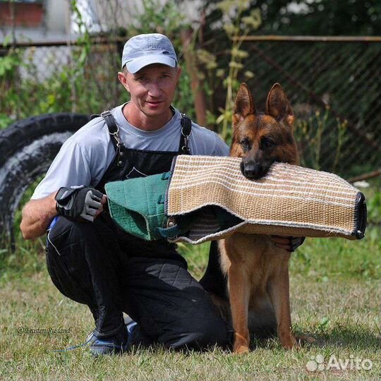 Дрессировка собак,коррекция