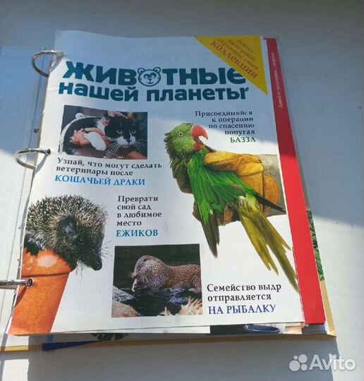 Детская энциклопедия