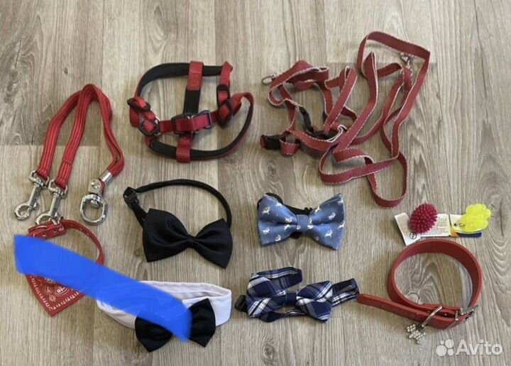 Одежда обувь для собак шлейка сворка