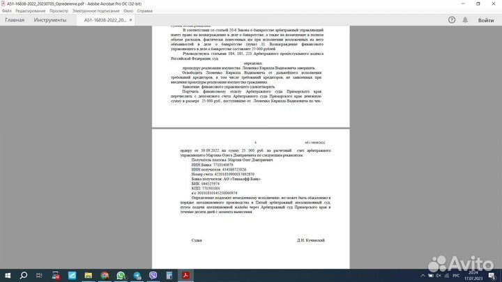 Банкротство физических лиц, Финансовый управляющий