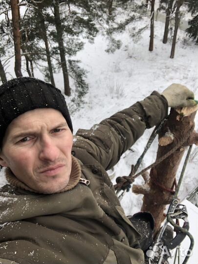 Спилить дерево