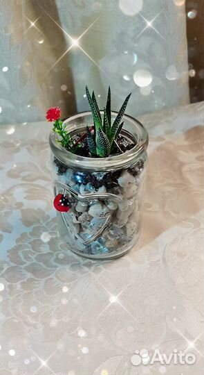 Флорариум на 14 февраля. День Влюблённых