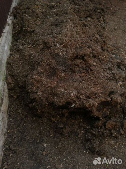 Продаю перегной