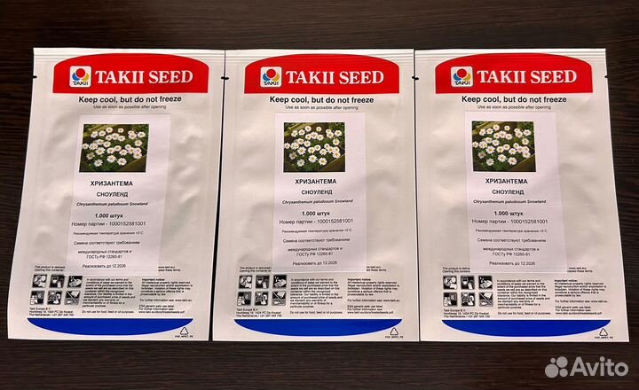 Семена Хризантема болотная Сноуленд