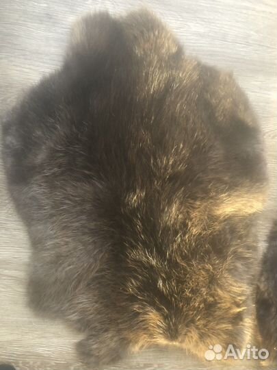 Шкура бобра(искусственная)