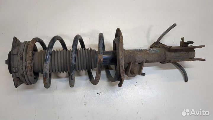 Амортизатор подвески Nissan Qashqai, 2009