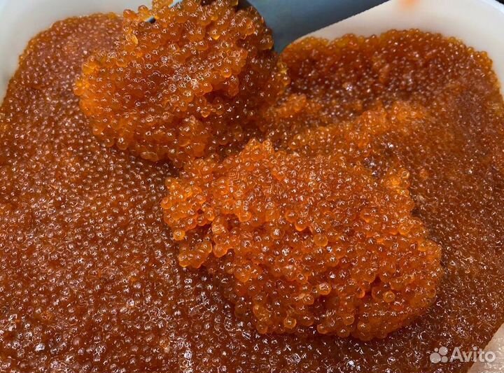 Красная икра. Опт