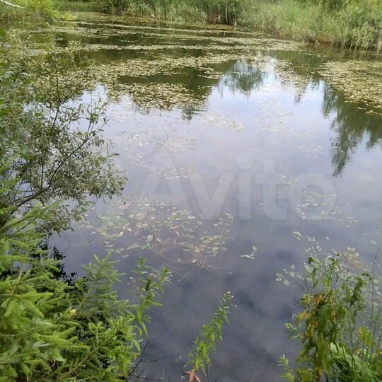 Участок 10 га (СНТ, ДНП)
