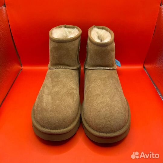 Зимние угги Ugg Classic Ultra Mini (36)