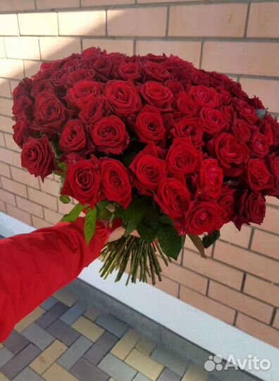 Розы букет цветов 101 роза