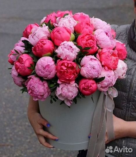 Пионы Букеты Цветы Доставка