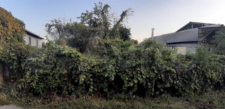 Участок 6 сот. (ИЖС)