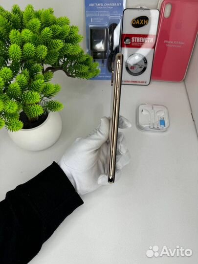 iPhone Xs Max, 256 ГБ