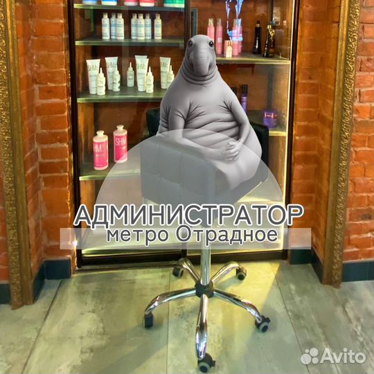 Администратор