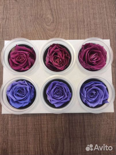 Стабилизированные розы и сухоцветы