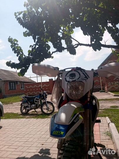 Альфа zs50f