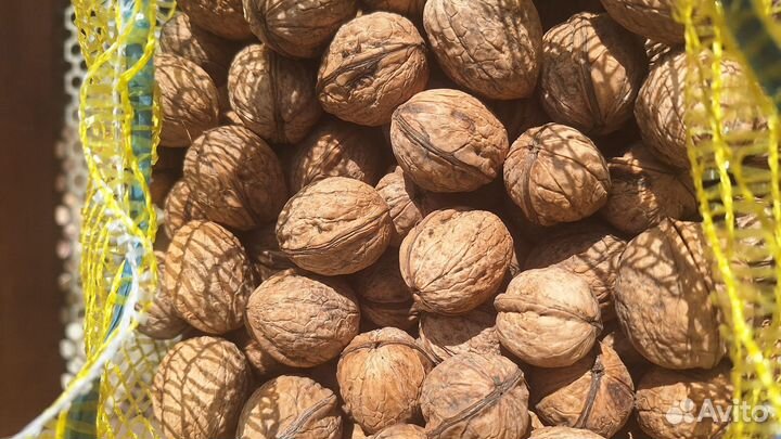 Орех грецкий
