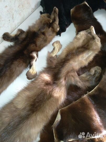 Норка шкурки, мутон от