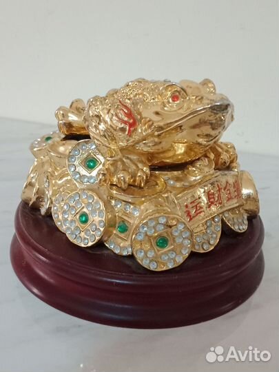 Трёх малая денежная жаба