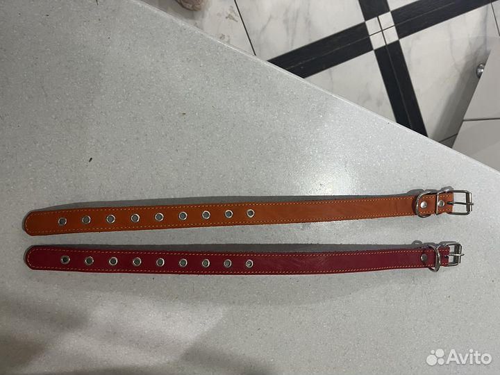 Ошейник для собак