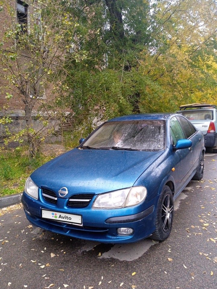 Nissan Almera: фото владельца