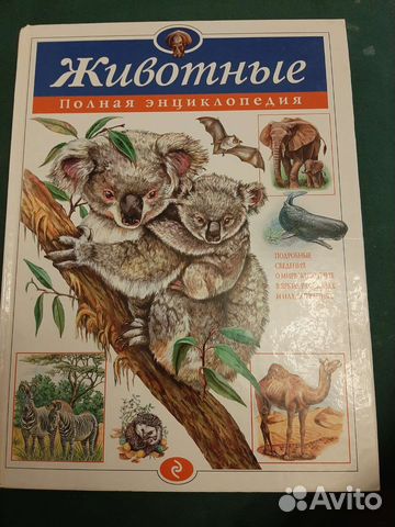 Энциклопедия детская