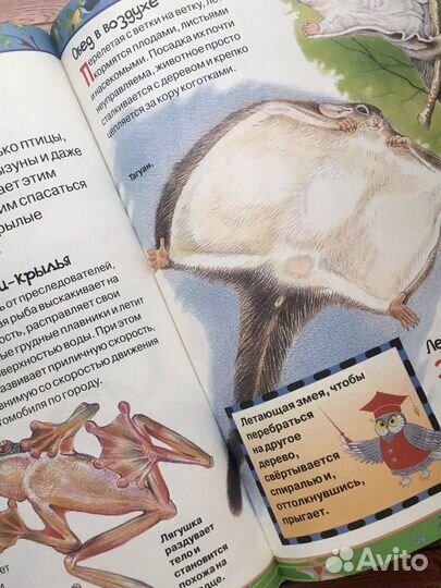 Моя самая первая энциклопедия росмэн