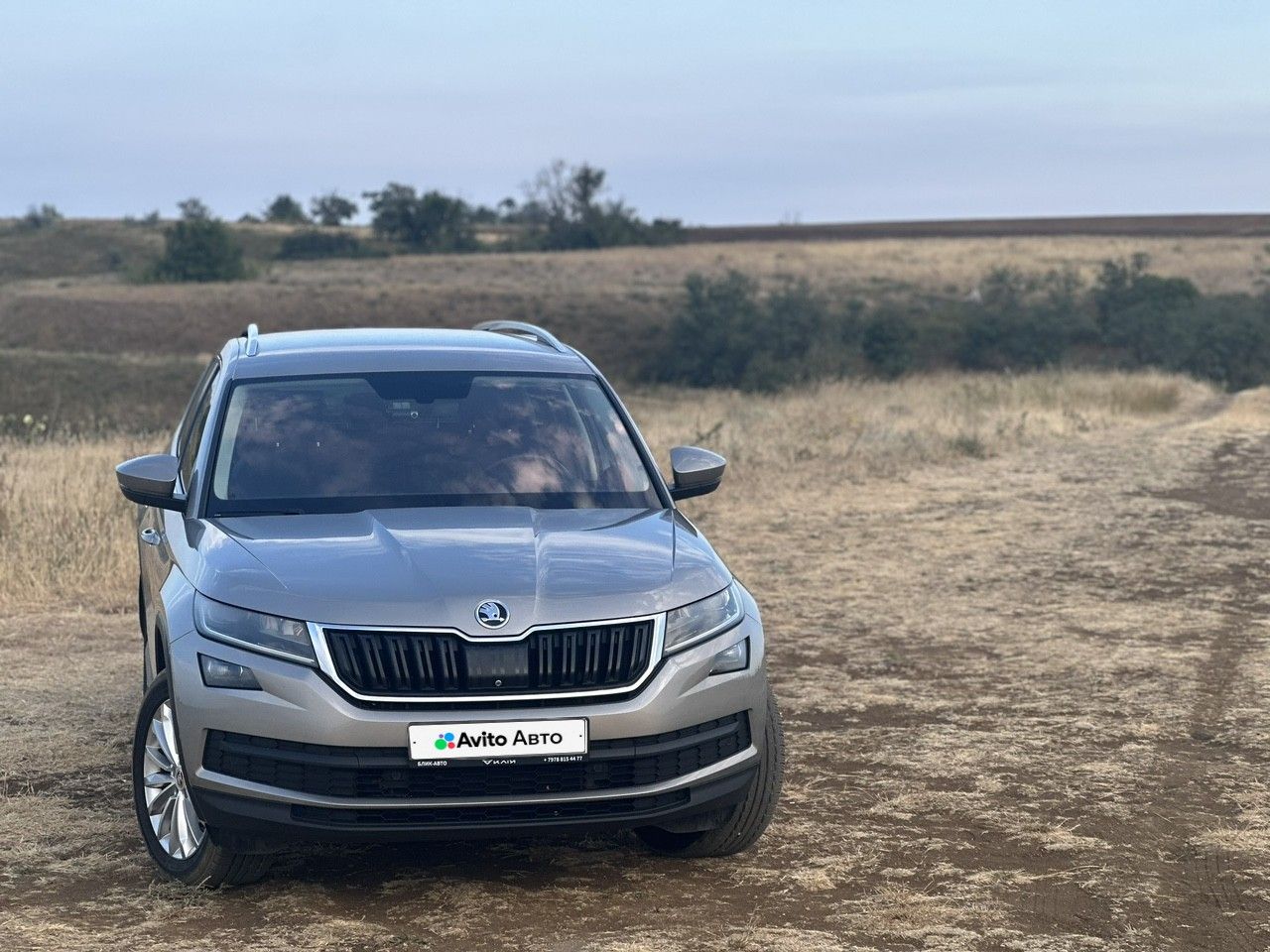 Skoda Kodiaq: фото владельца
