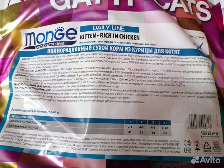 Monge sensitive/kitten