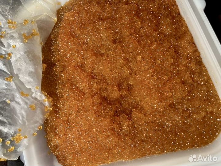 Красная икра горбуши