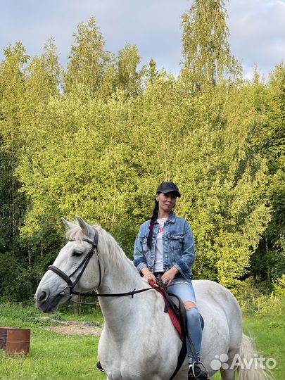 Прогулка, обучение, праздники