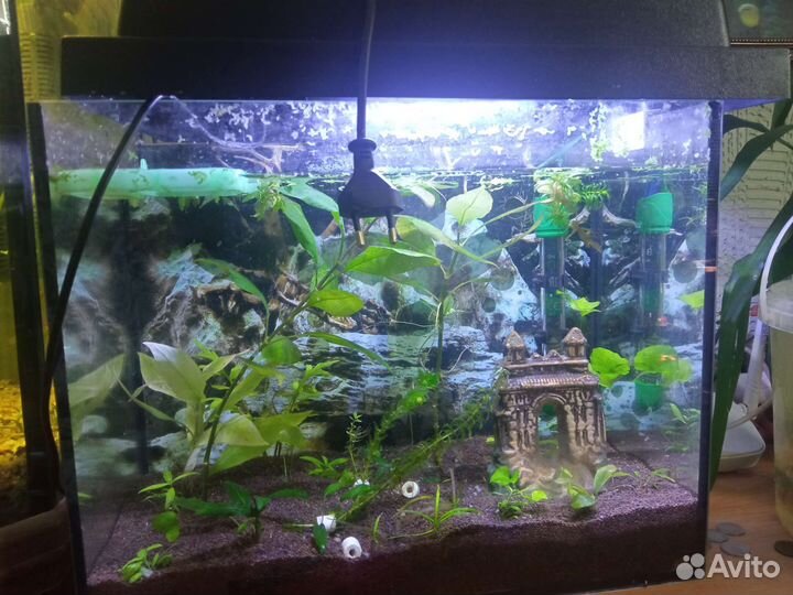Аквариум
