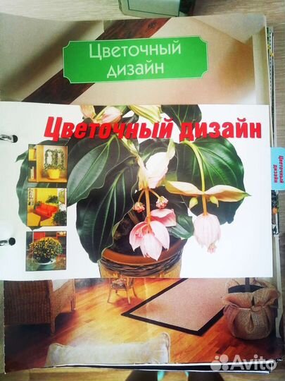 Комнатные растения