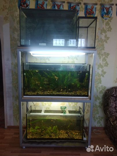 Продам аквариумы