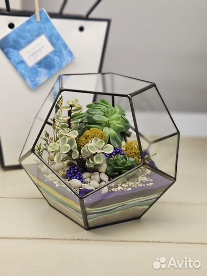 Флорариум с 3 суккулентами