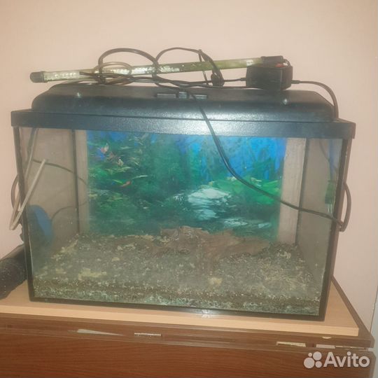 Аквариум