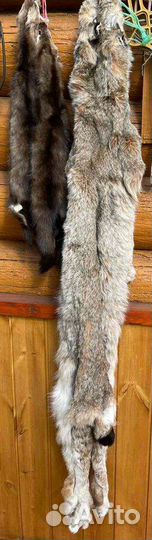 Продаю шкурки соболя и рыси